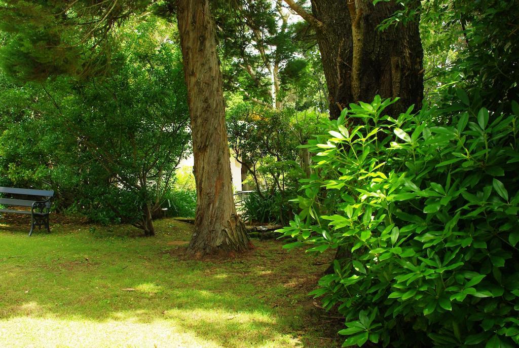 布莱克希斯汽车旅馆 黑荒地 外观 照片
