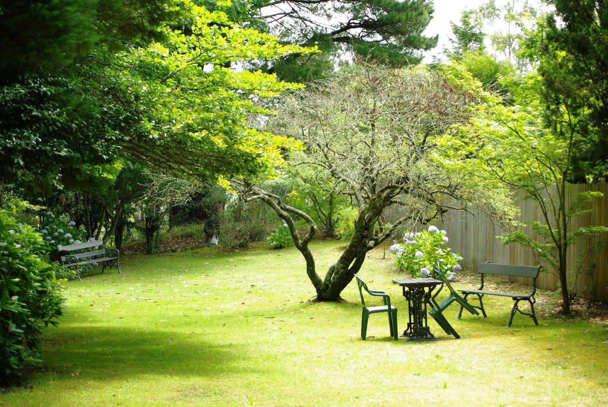 布莱克希斯汽车旅馆 黑荒地 外观 照片